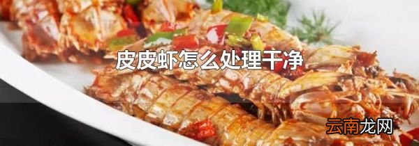 皮皮虾怎么处理干净