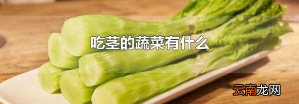 吃茎的蔬菜有什么