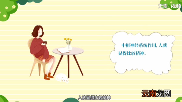 咖啡为什么提神 咖啡为何提神