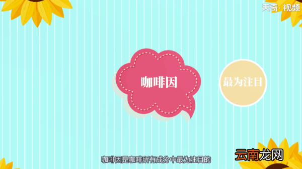 咖啡为什么提神 咖啡为何提神
