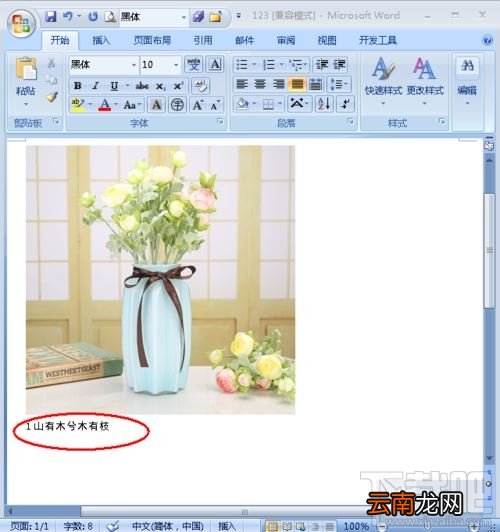 Word图片怎么添加注释？