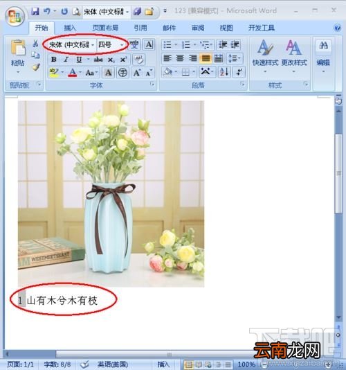 Word图片怎么添加注释？