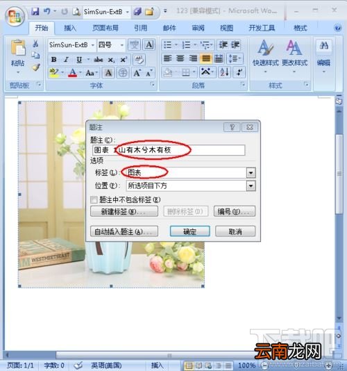 Word图片怎么添加注释？