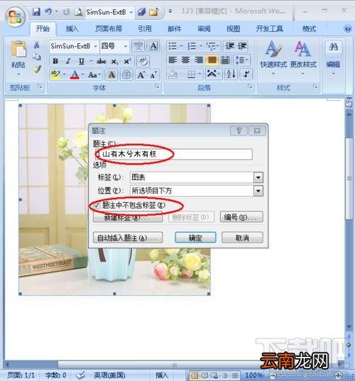 Word图片怎么添加注释？
