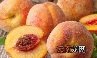 冬桃什么时候开花 冬桃树什么时候开花