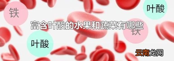 富含叶酸的水果和蔬菜有哪些