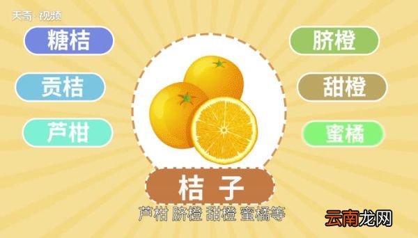 桔子的种类 桔子有几种