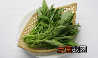 空心菜北方几月份种植 空心菜北方几月份种植?怎样种植谢谢
