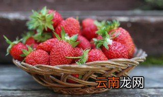 草莓几月份移栽最好 草莓什么季节移栽
