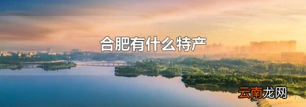 合肥有什么特产