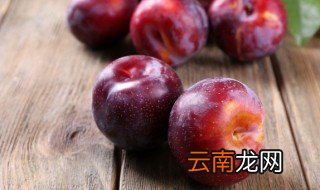三月李种植产量怎样才高产 三月李亩产量多少
