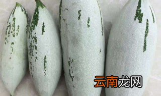 老鼠瓜有毒为什么能吃 老鼠瓜相关介绍