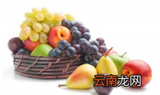 适合南方种植的葡萄品种有哪些