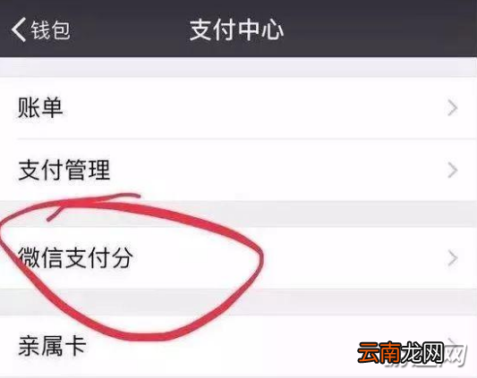 微信支付分是什么？支付分功能及用途介绍