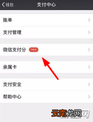 微信支付分查看方法图文教程介绍