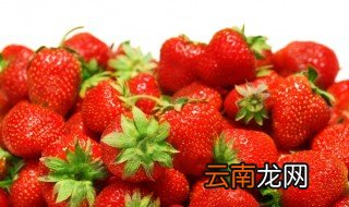 草莓出产哪个季节 草莓盛产的标准季节是几月份