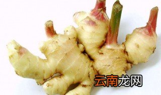 没有沙姜用什么代替 没有沙姜用啥代替