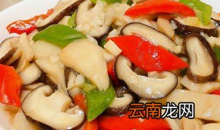 蘑菇的家常菜做 蘑菇的家常菜做法介绍