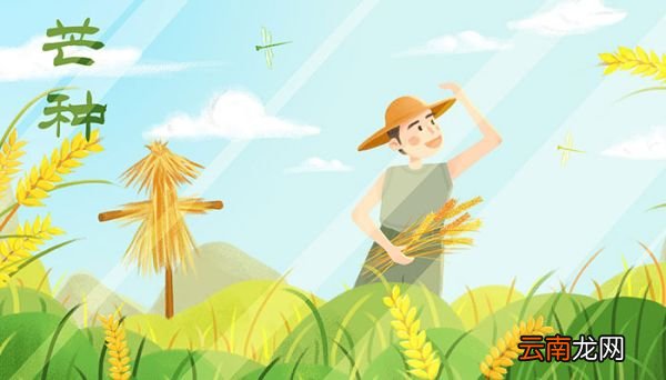 芒种有什么含义 芒种时节的注意事项