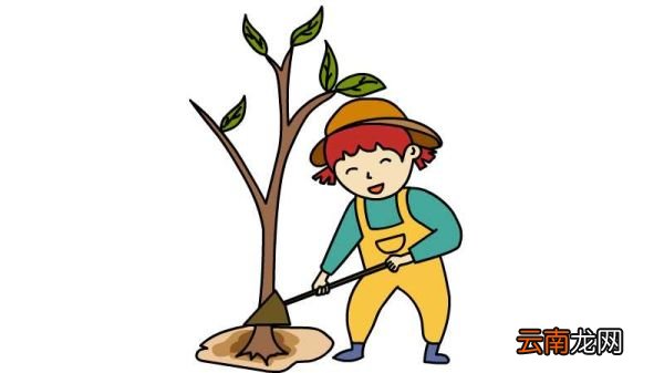植树简笔画