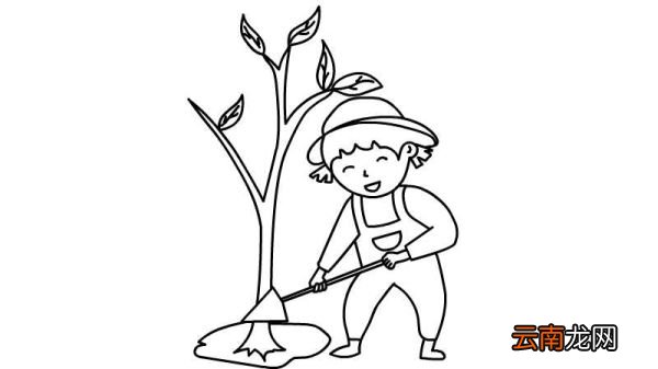 植树简笔画