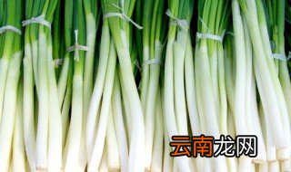 什么是京葱 啥是京葱