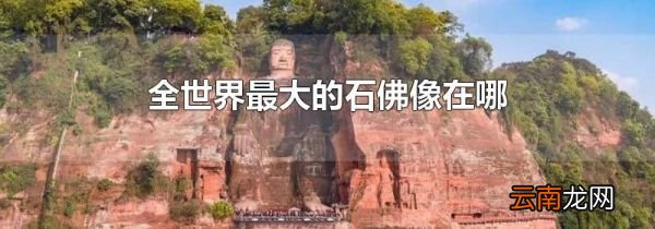 全世界最大的石佛像在哪