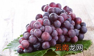 葡萄几月份剪枝怎么剪，几月份剪葡萄枝最好