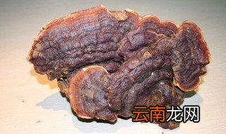 灵芝食用20种方法 灵芝的食用方法