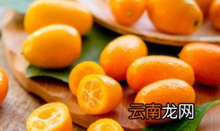 桔子什么时候开花 桔子什么时候开花结果