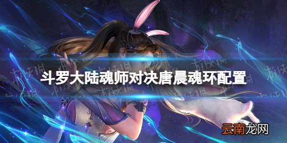 斗罗大陆魂师对决唐晨魂环配置 斗罗大陆魂师对决唐晨魂环搭配