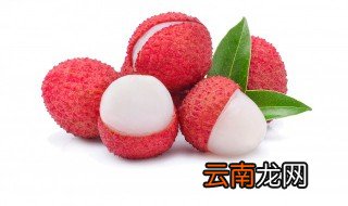 山东地区能种荔枝吗 山东为什么不能种植荔枝