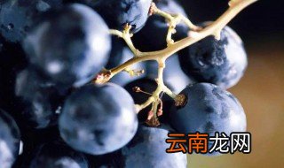 葡萄糖份高嘛葡萄吃了容易胖吗