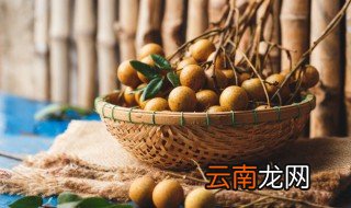 龙眼什么时候开花 石硖龙眼什么时候开花