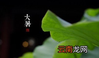 大暑时节该怎么吃 大暑时节吃什么