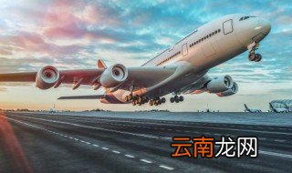 坐飞机带什么吃的比较好 坐飞机带哪些食物吃的比较好