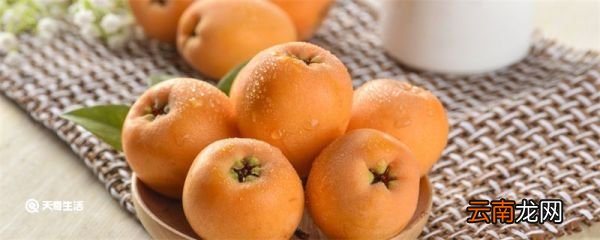 批把果能吃吗 批把果能不能吃