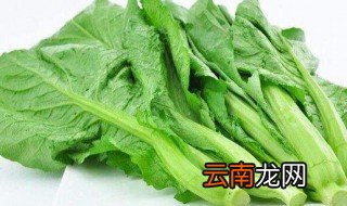 小芥菜和大芥菜的区别 小芥菜和大芥菜有什么区别