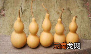 文玩葫芦几月份种最好 文玩葫芦几月份种植