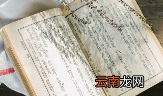 花开堪折直须折的下一句是什么 花开堪折直须折的下一句