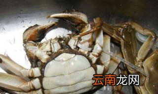 怎么看青蟹是不是死了 青蟹死没死如何判断