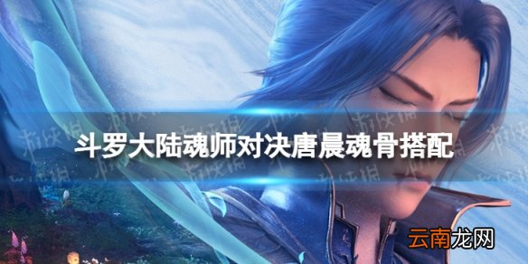 斗罗大陆魂师对决唐晨魂骨搭配 斗罗大陆魂师对决唐晨魂骨用什么
