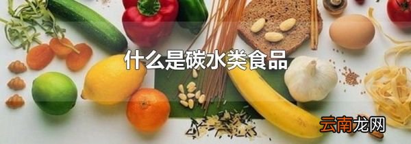 什么是碳水类食品