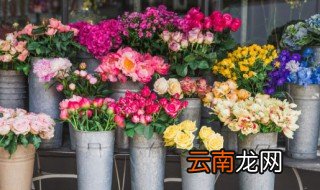 雀梅几月开花几月结果 雀梅什么时候开花