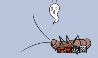蟑螂会爬到床上咬人吗 蟑螂会不会爬到床上咬人