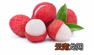 荔枝怎么种植才会活视频 荔枝怎么种植