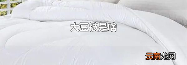 大豆被是啥