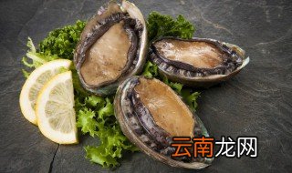 鲍鱼肉要炒多久能熟,鲍鱼肉要煮多久才能熟