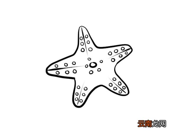 海星简笔画 海星简笔画画法
