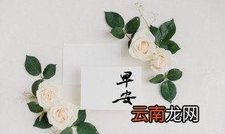 早安励志优美句子大全 早安励志优美句子有哪些